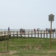 Grand Opening of Lakeshore Trail 041.JPG