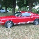 IMG_7367.JPG