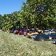 100_0677.JPG