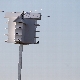 Purple Martin Project