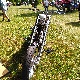 BONES BIKE ONCE OWNED BY EVIL KNIEVEL MBAA CTMT (4).jpg